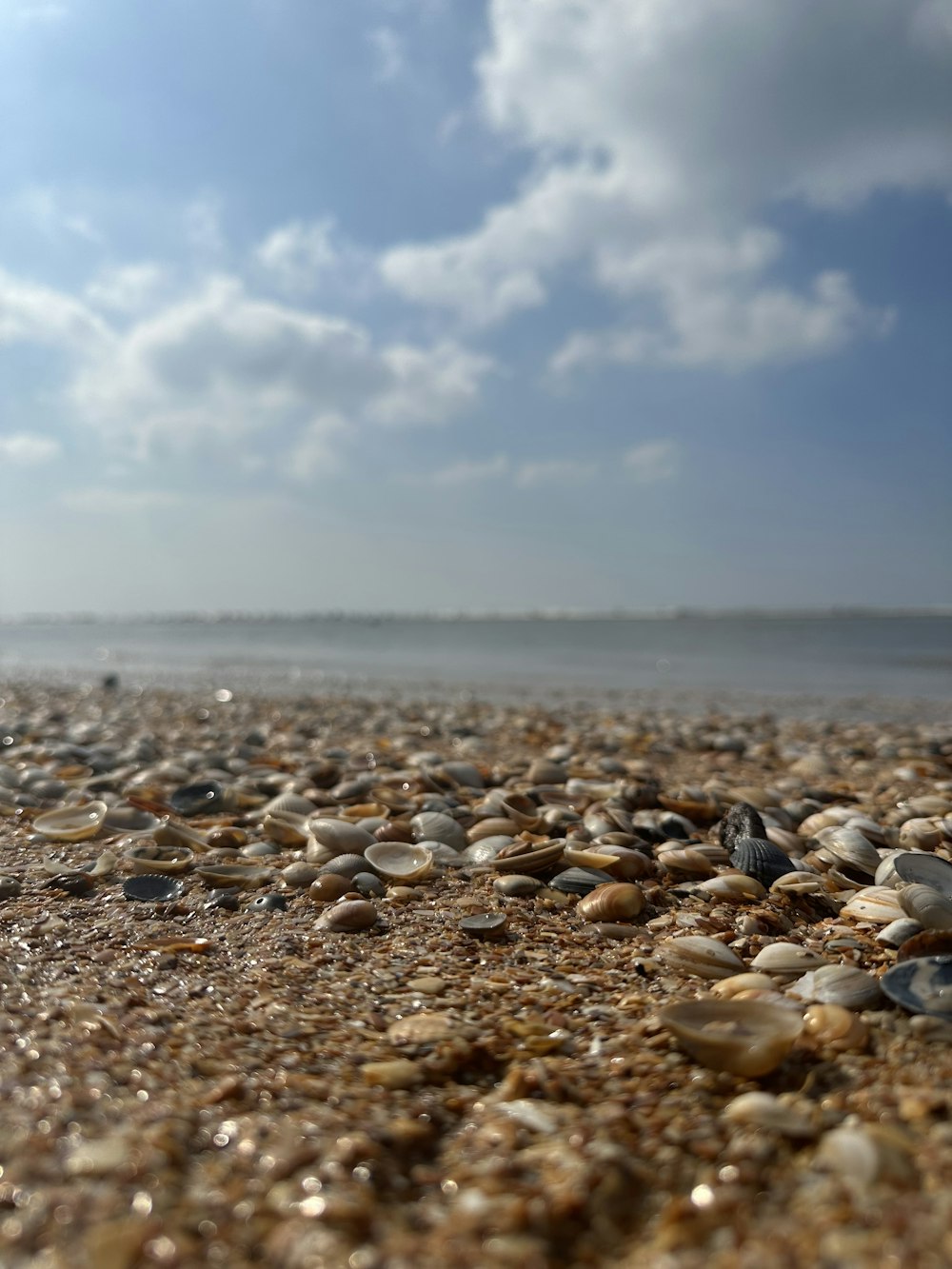 a sandy beach covered in lots of rocks under a cloudy blue sky
