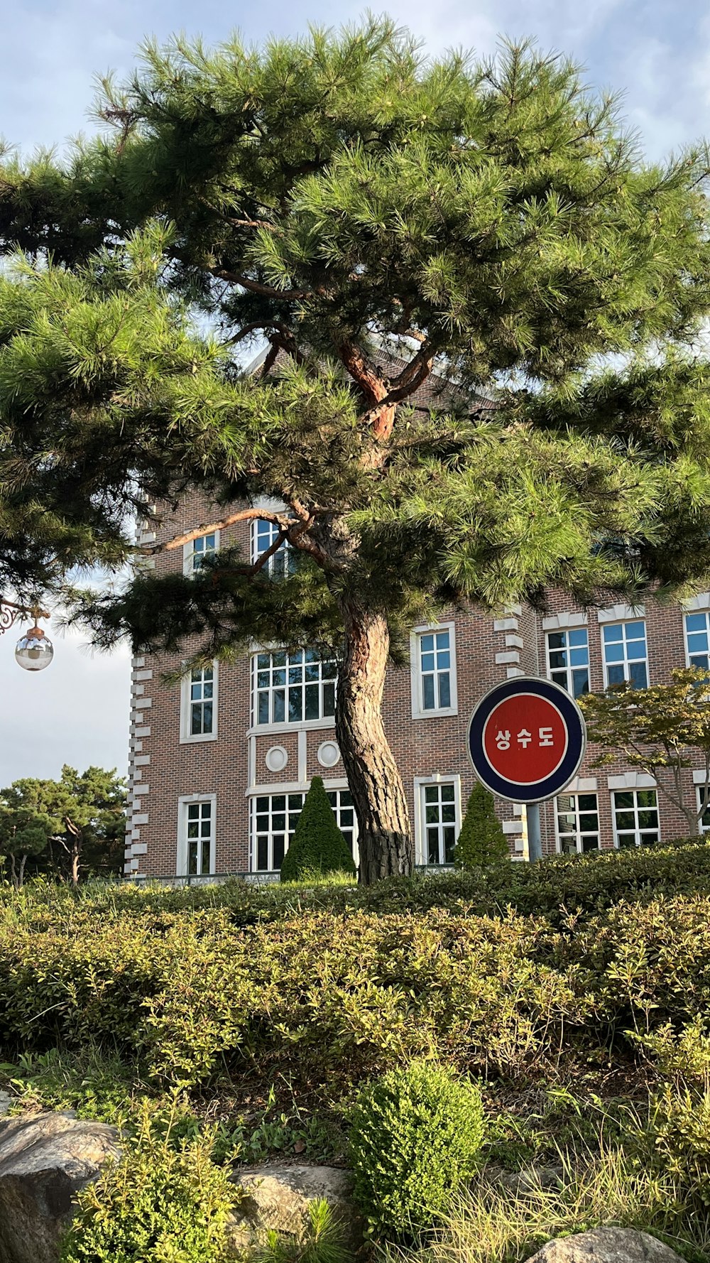 a large tree in front of a building