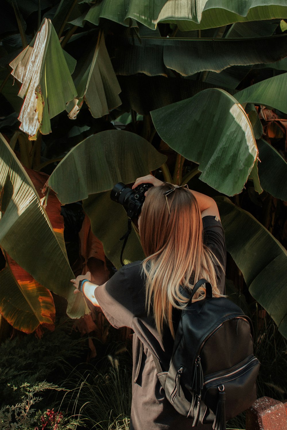 a woman taking a picture of a banana tree