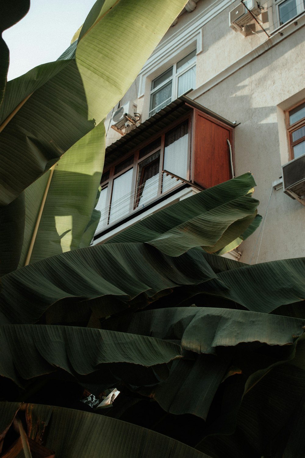 a building with a bunch of green leaves in front of it