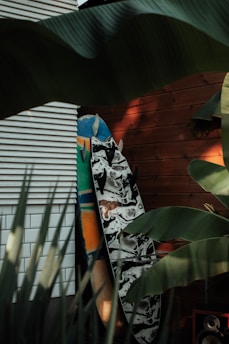 A surfboard with a black and white marble-like pattern leans against a wooden wall, partially surrounded by large green leaves. Another surfboard with colorful, abstract designs stands next to it. The setting includes a mix of natural elements and an outdoor structural backdrop.