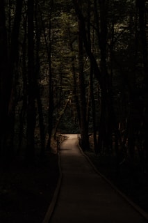 a path in the middle of a dark forest