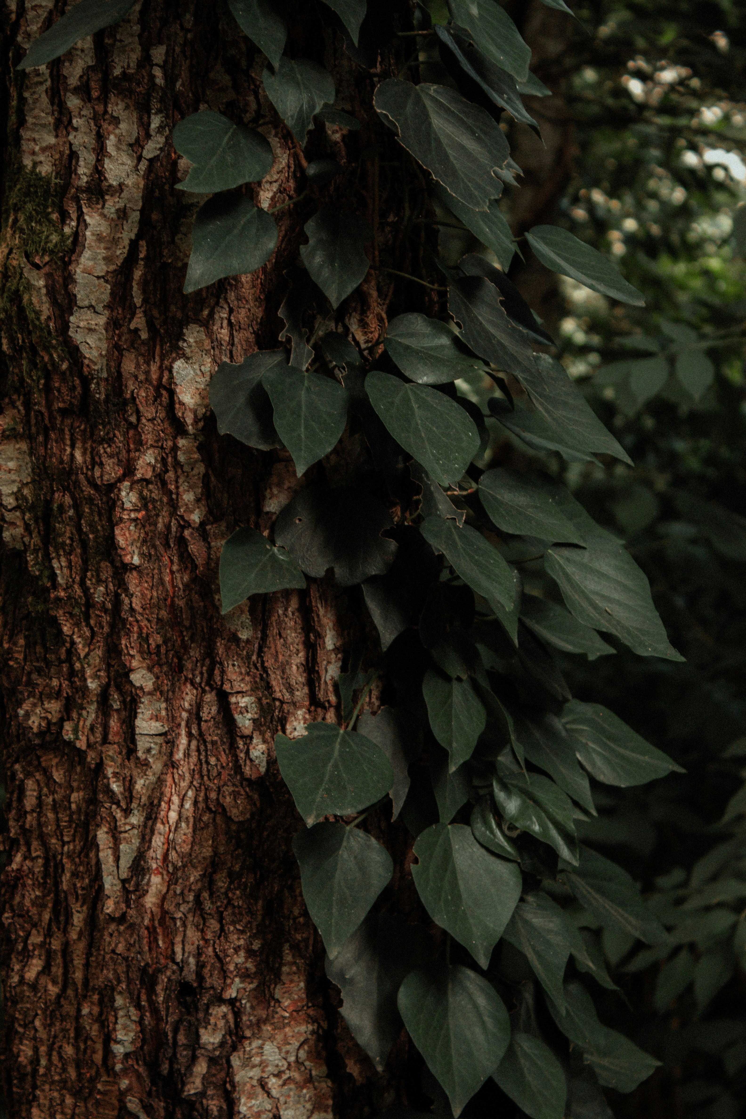 Photo by sergeyuxui