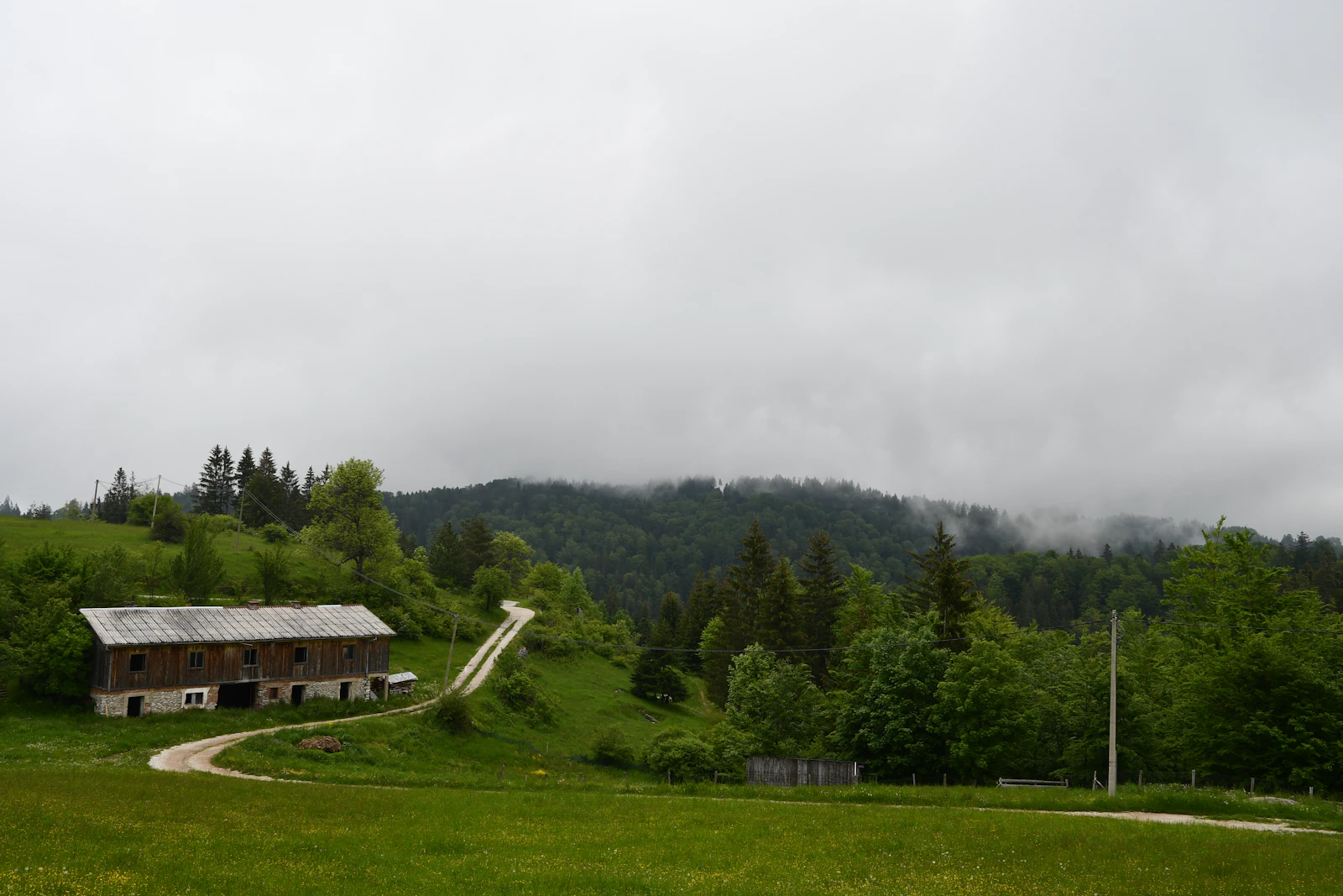 Lena’s Ranch