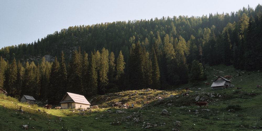 a group of small houses sitting on top of a lush green hillside