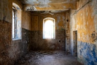 st charles mold removal