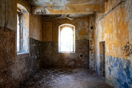 st charles mold removal