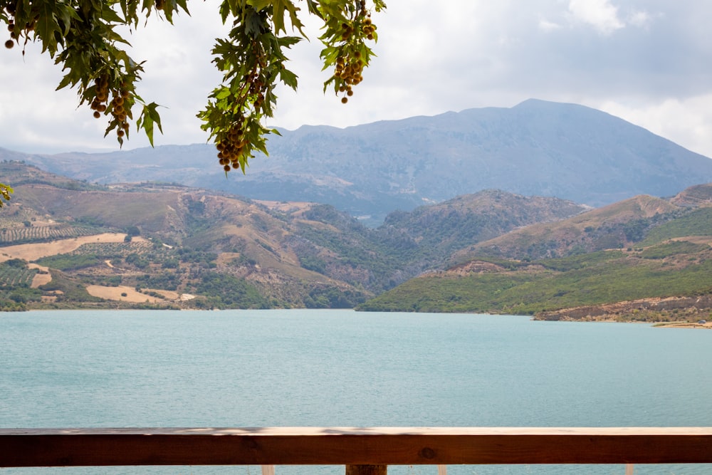 a view of a lake with mountains in the background