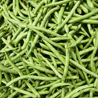 A close-up view of a large pile of fresh green beans, showcasing their smooth texture and vibrant color with some drops of water visible on the surface.