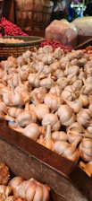 Close-up of vibrant fresh garlic bulbs arranged on rustic wooden crates.