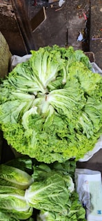 A close-up of organic greens available at Sayurinaja.