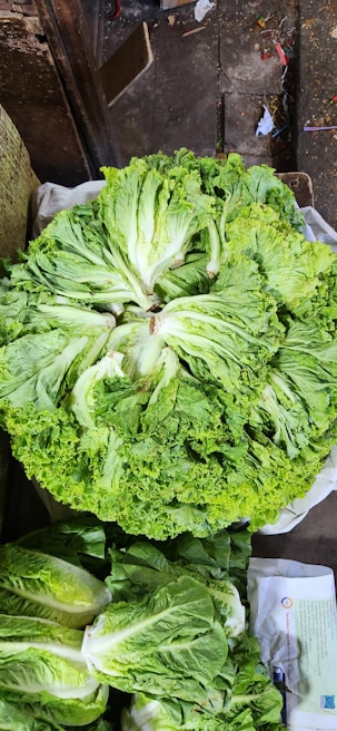 A close-up of organic greens available at Sayurinaja.