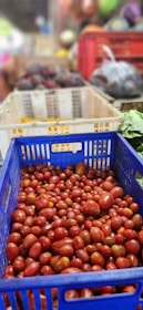 Delivery truck loaded with crates of avocado and tomatoes leaving a packing facility.