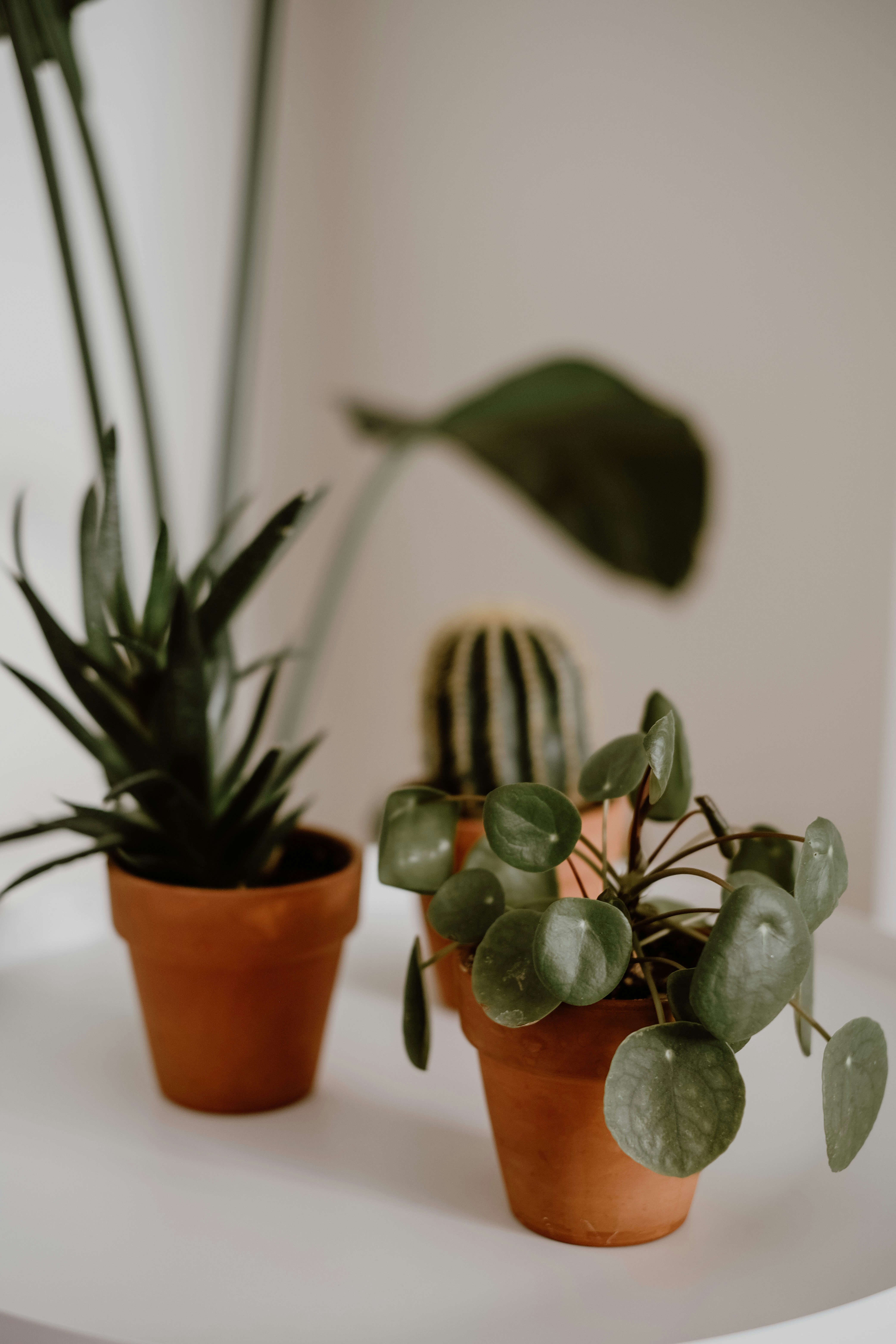 Photo by muverrihhanim