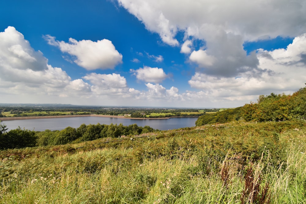 a view of a lake from a grassy hill