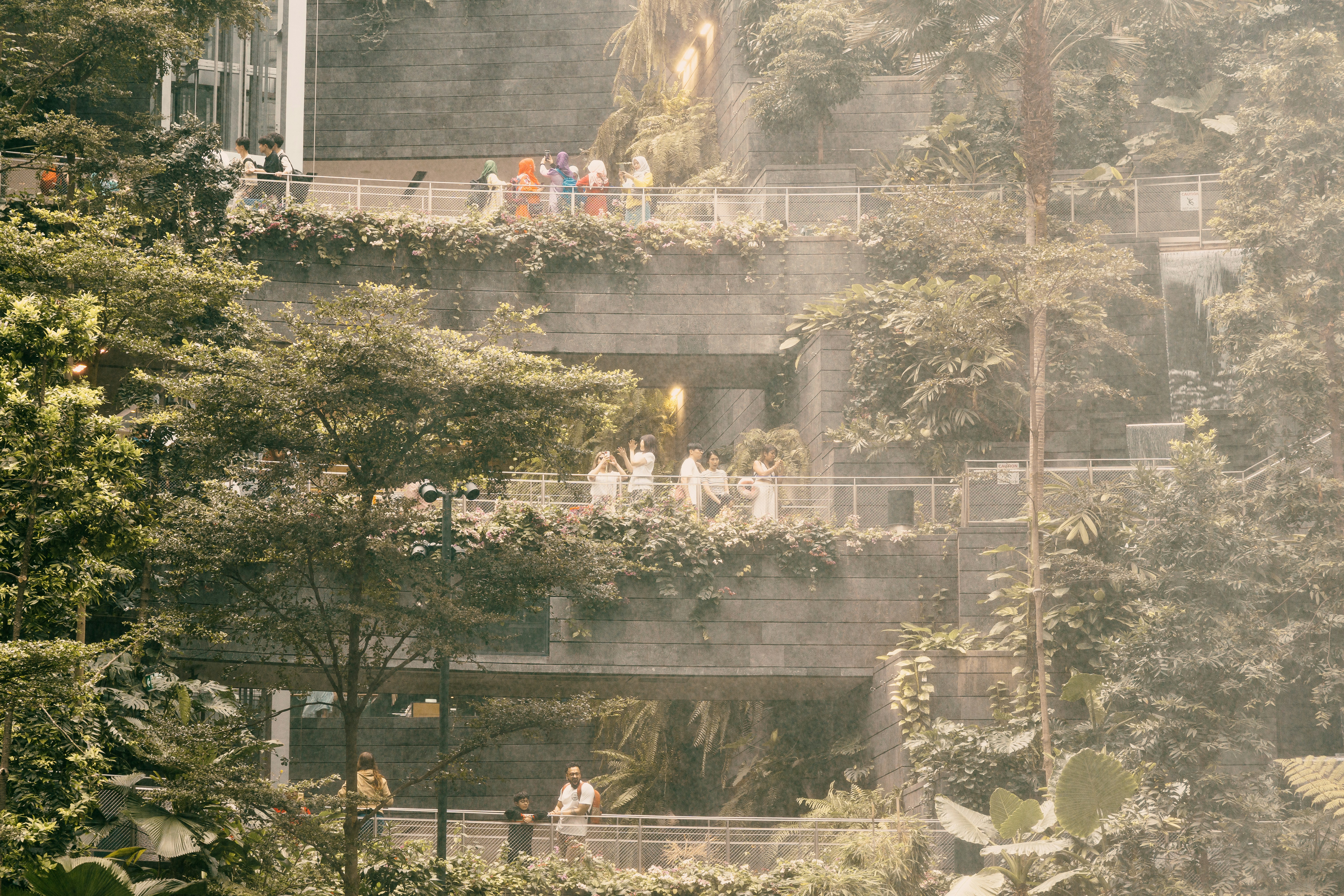 a group of people standing on a balcony above trees