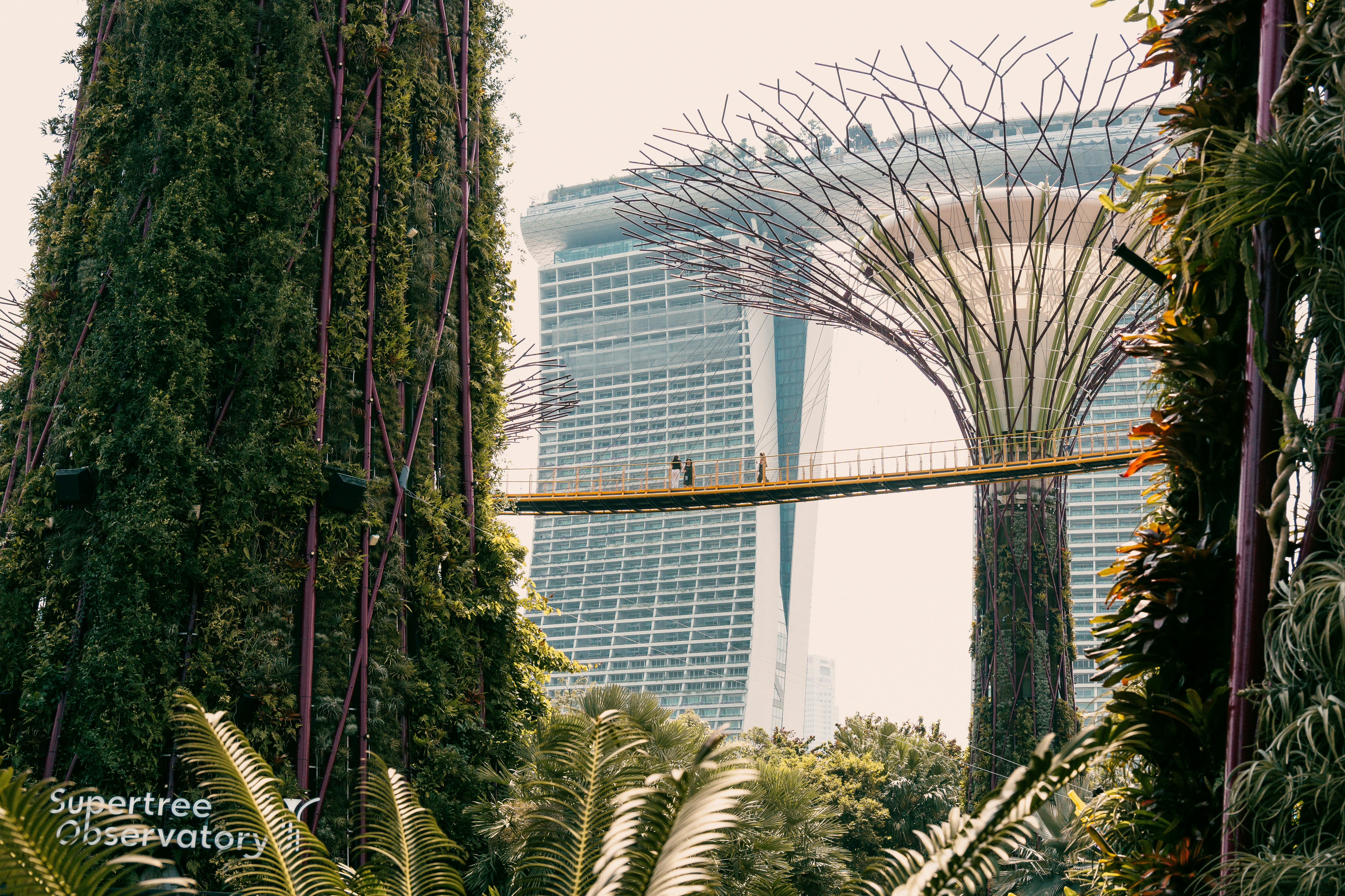 Jardim Vertical Luxuoso