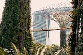 Large vertical gardens resembling futuristic trees are surrounded by lush greenery, with a walkway connecting them. In the background, a prominent building with an unusual architectural design is visible.