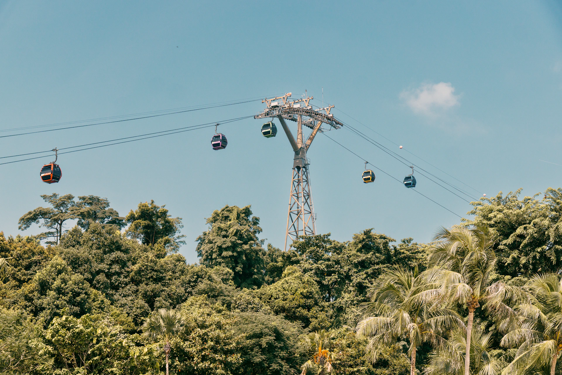a group of people riding a ski lift over trees