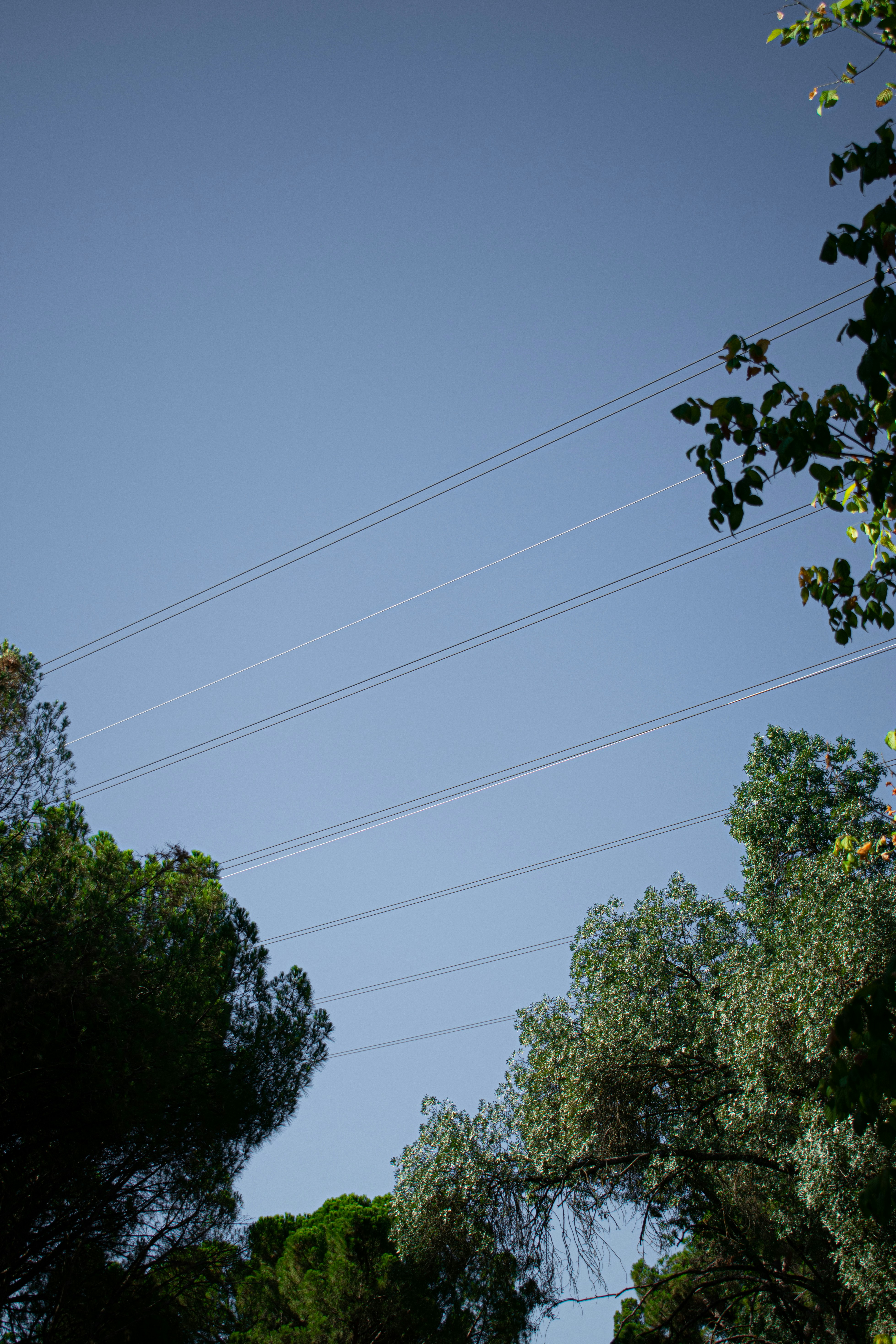 image ID 9826a7b6 c771 4156 fad6 ba52ae058625 (1)