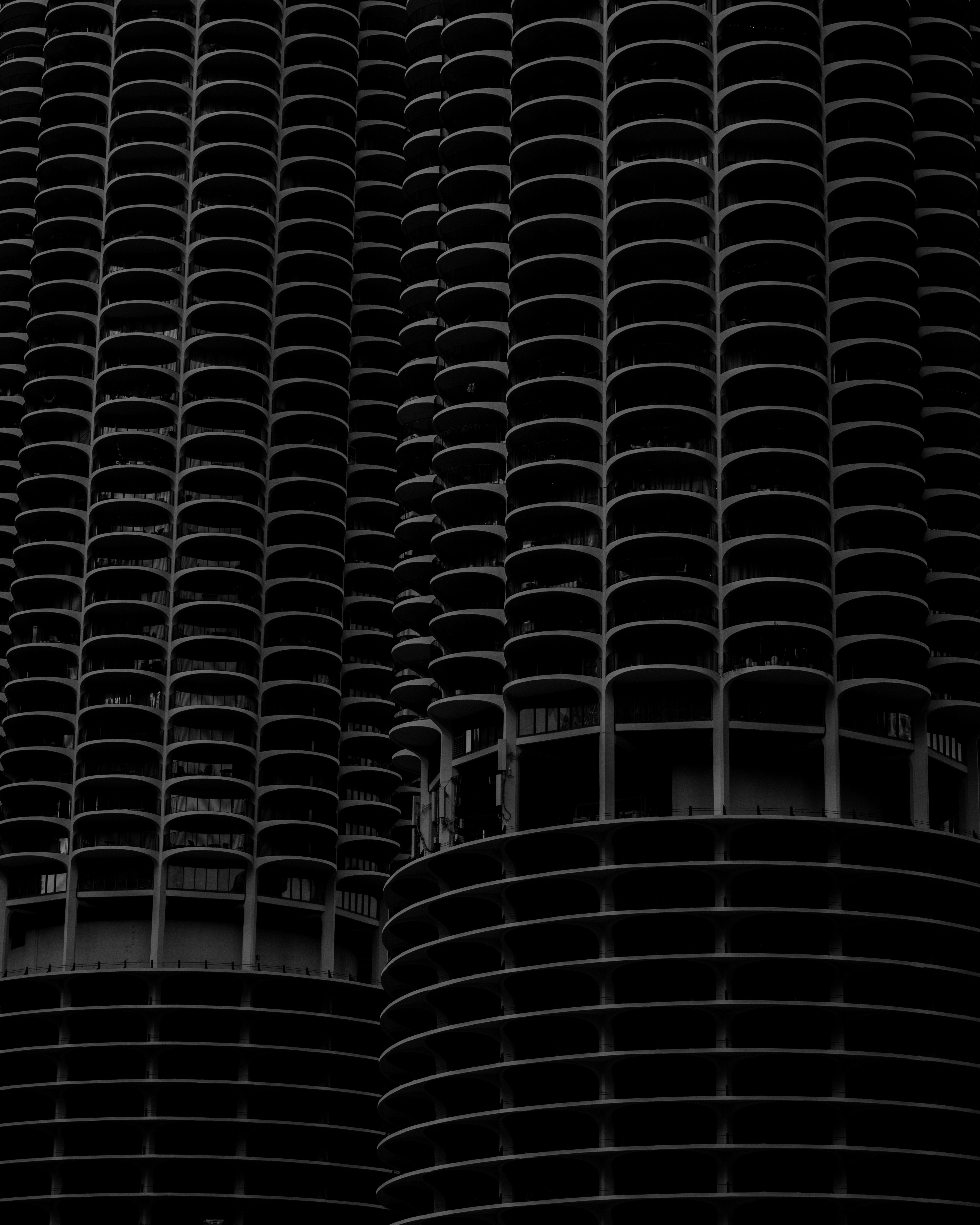 Photo by 0zymanndias