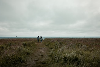 A grassy path leads towards the horizon, meeting the edge of a calm sea under an overcast sky. Two people walk hand in hand along the trail surrounded by tall grass, creating a peaceful and reflective scene.