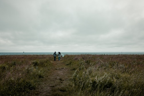 A grassy path leads towards the horizon, meeting the edge of a calm sea under an overcast sky. Two people walk hand in hand along the trail surrounded by tall grass, creating a peaceful and reflective scene.