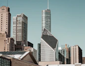 City skyline blending U.S. and Asian architectural styles symbolizing cross-border expertise.