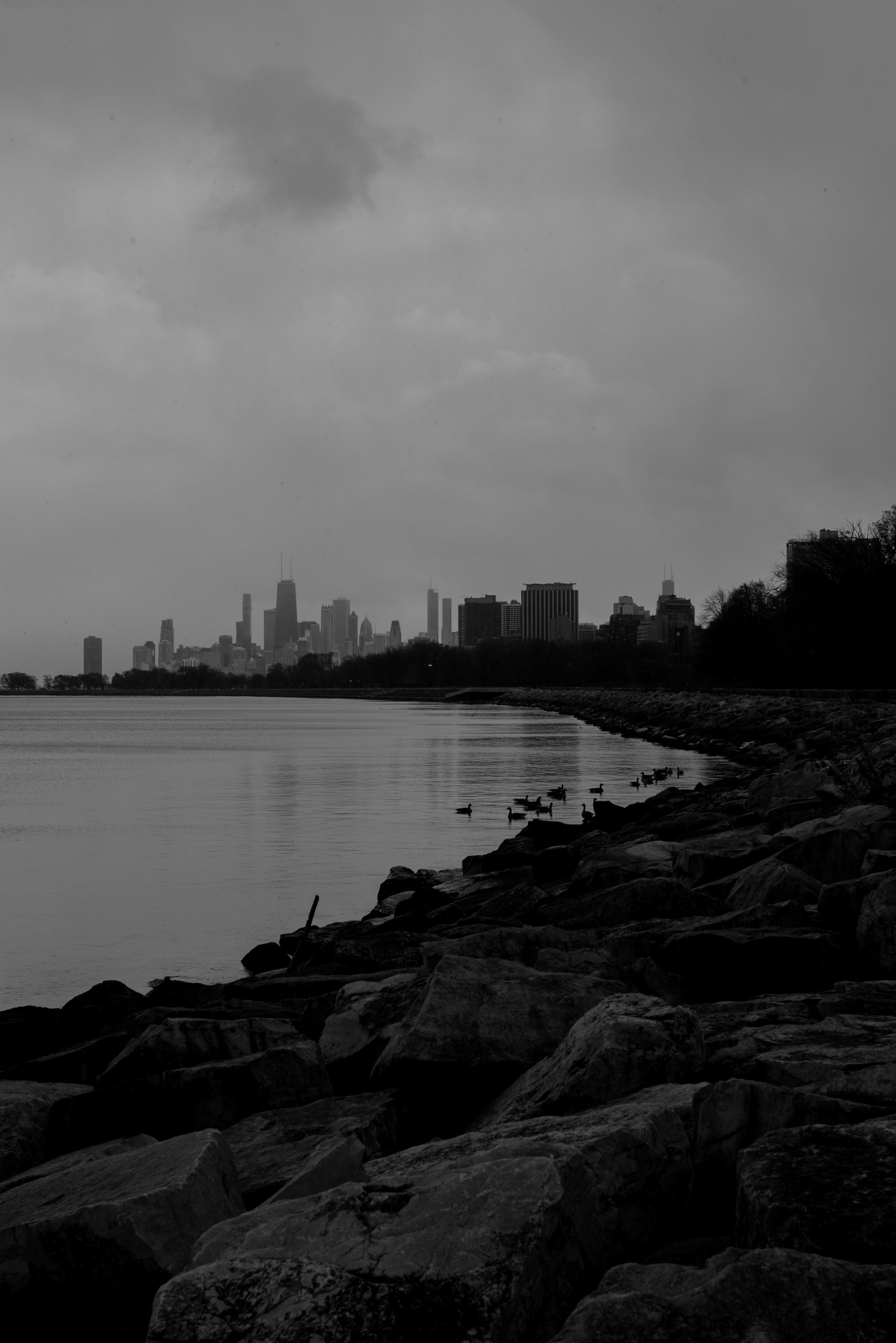 Photo by 0zymanndias