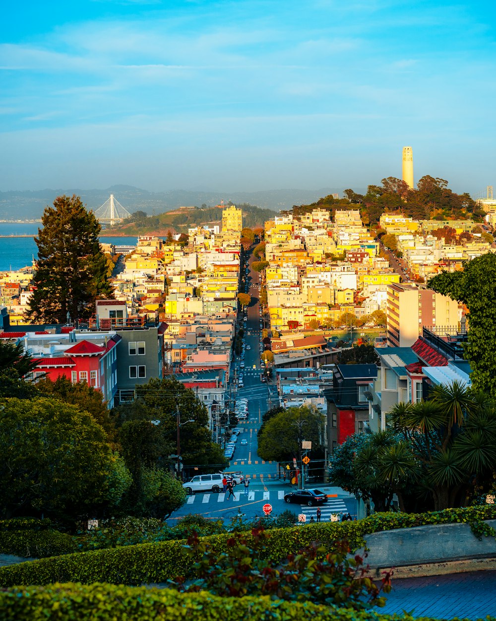 a view of a city with a hill in the background