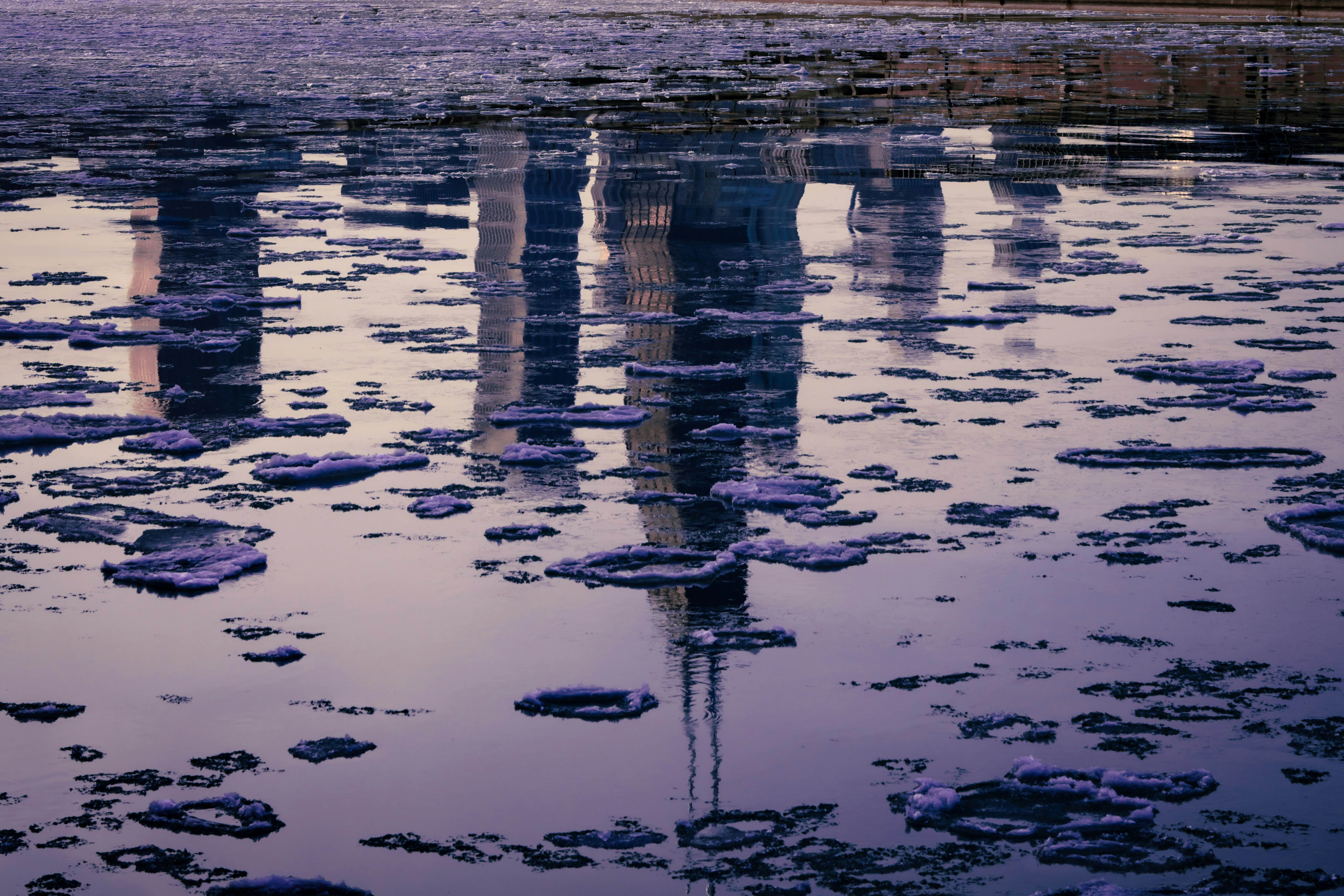 Photo by 0zymanndias