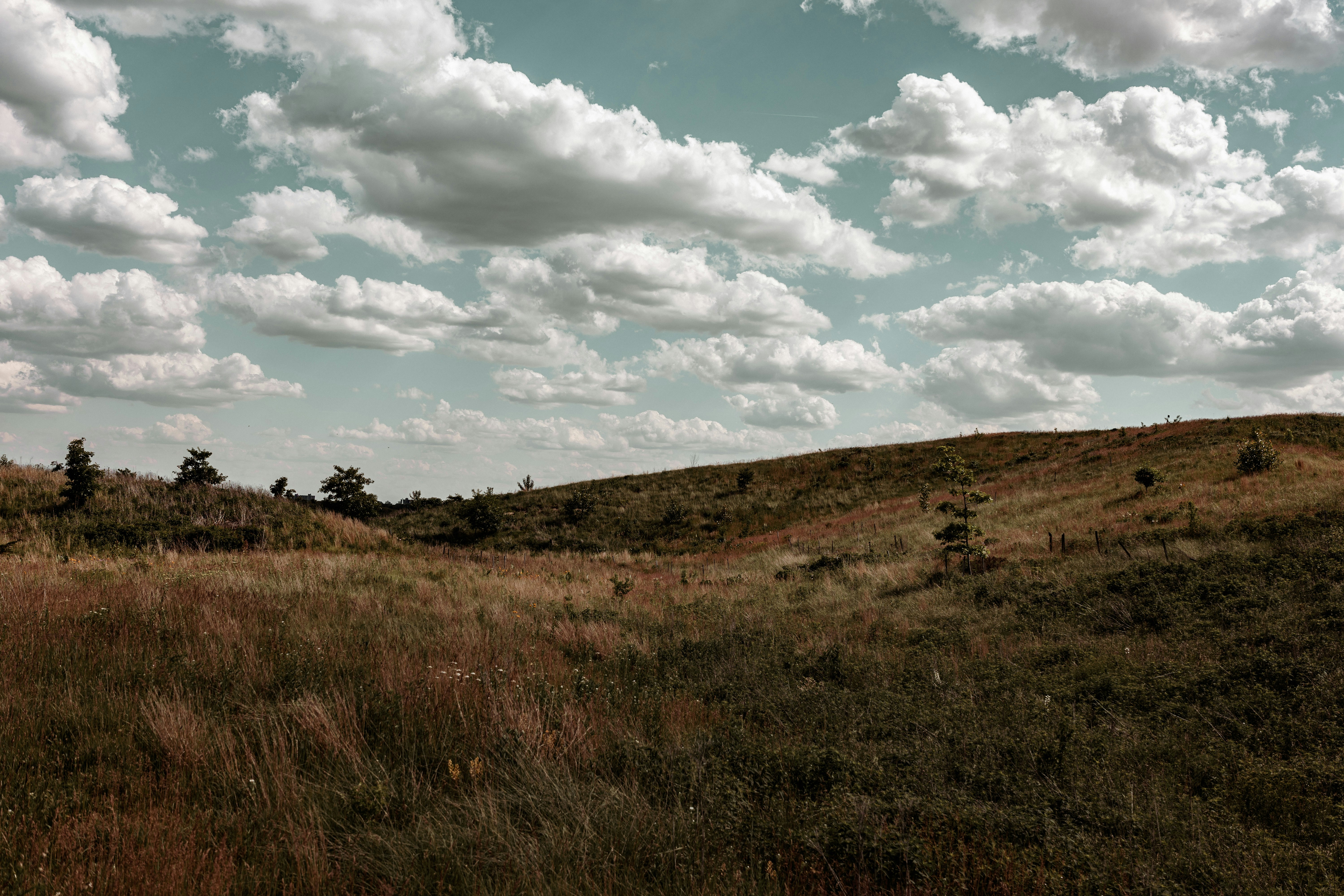 Photo by 0zymanndias