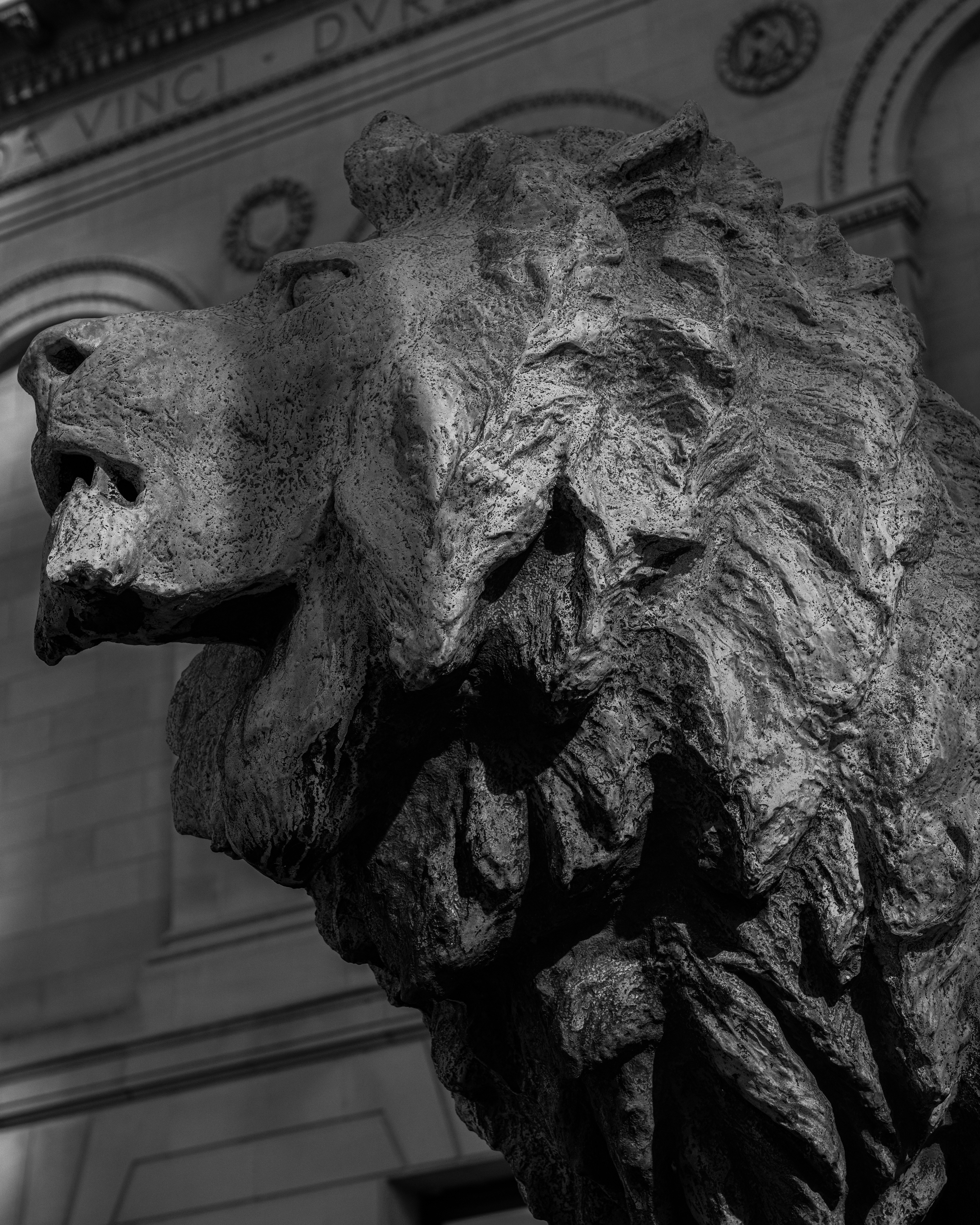 Photo by 0zymanndias