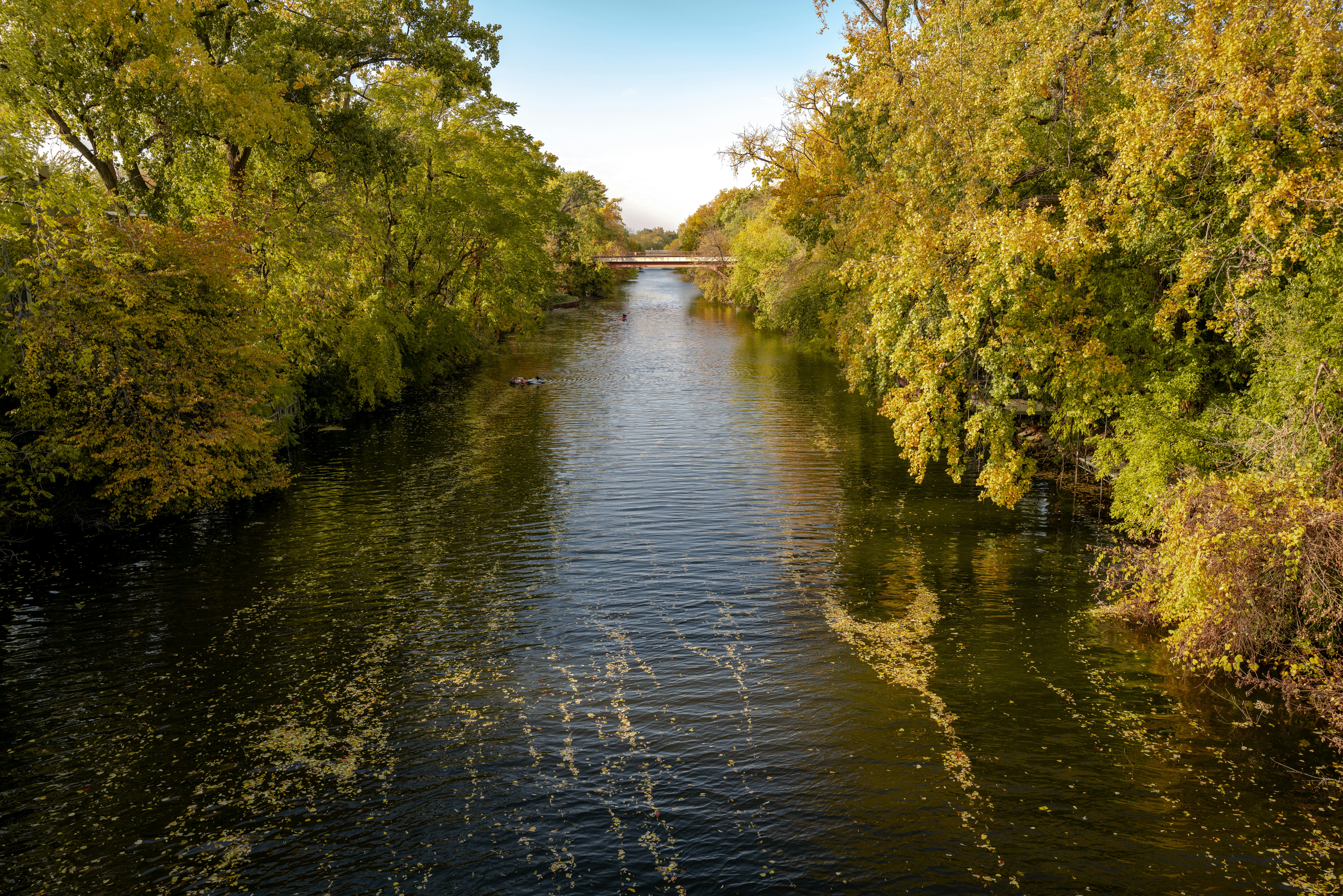 Photo by 0zymanndias