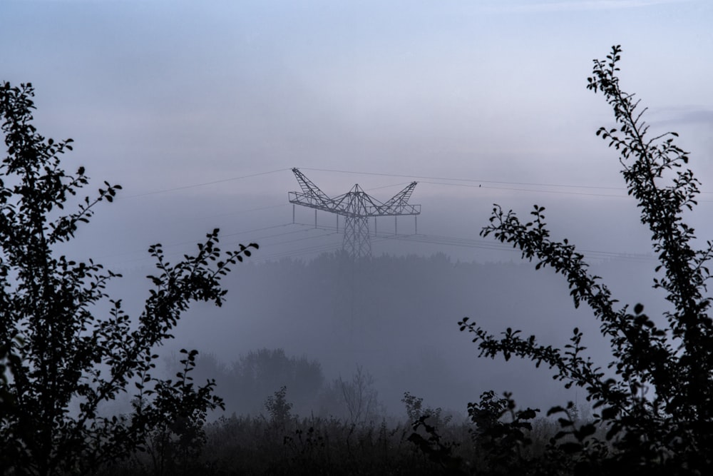 a power line in the fog with trees in the foreground