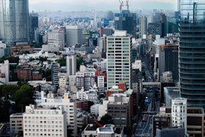 A bustling city skyline representing industrial growth.