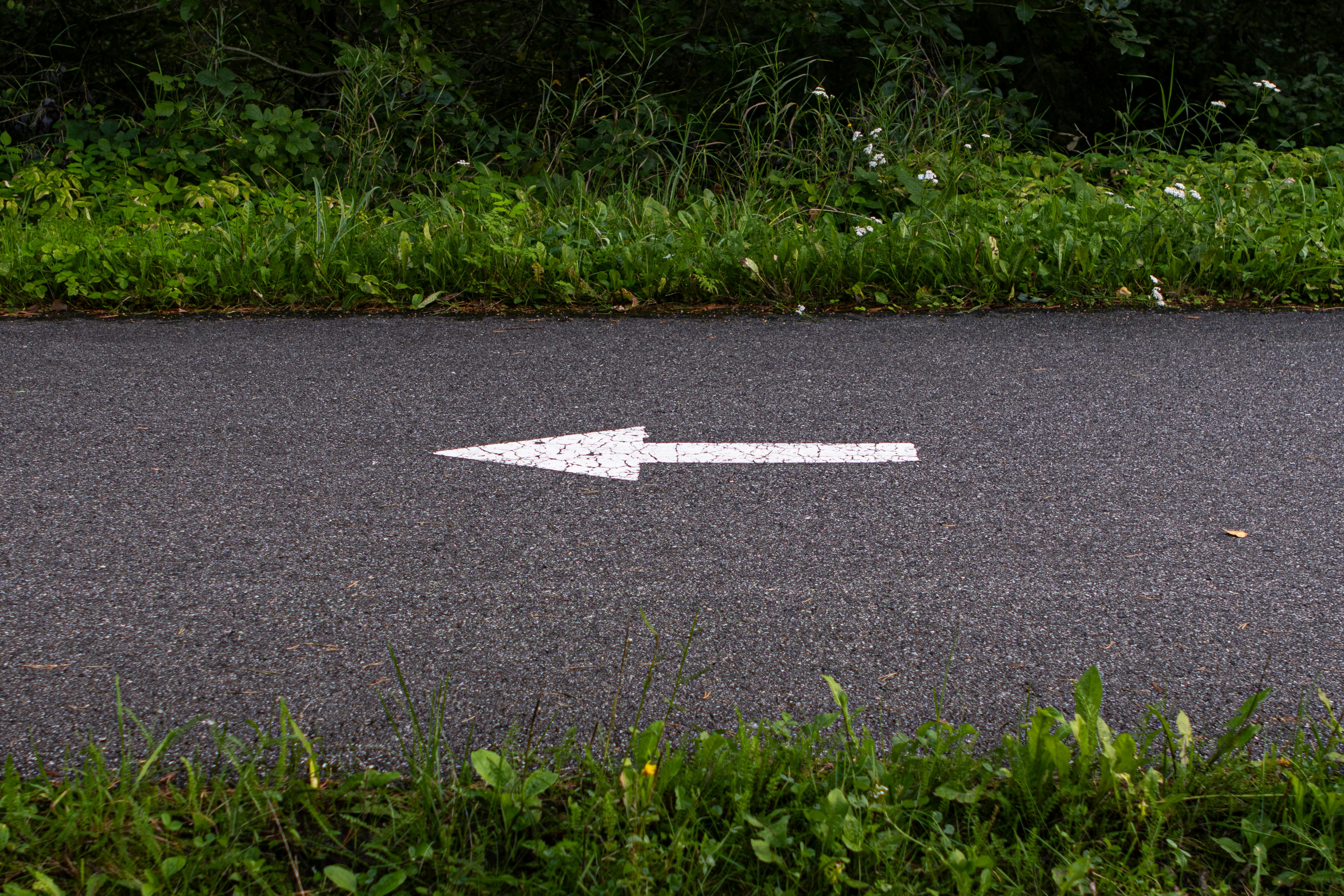 a white arrow painted on a paved road