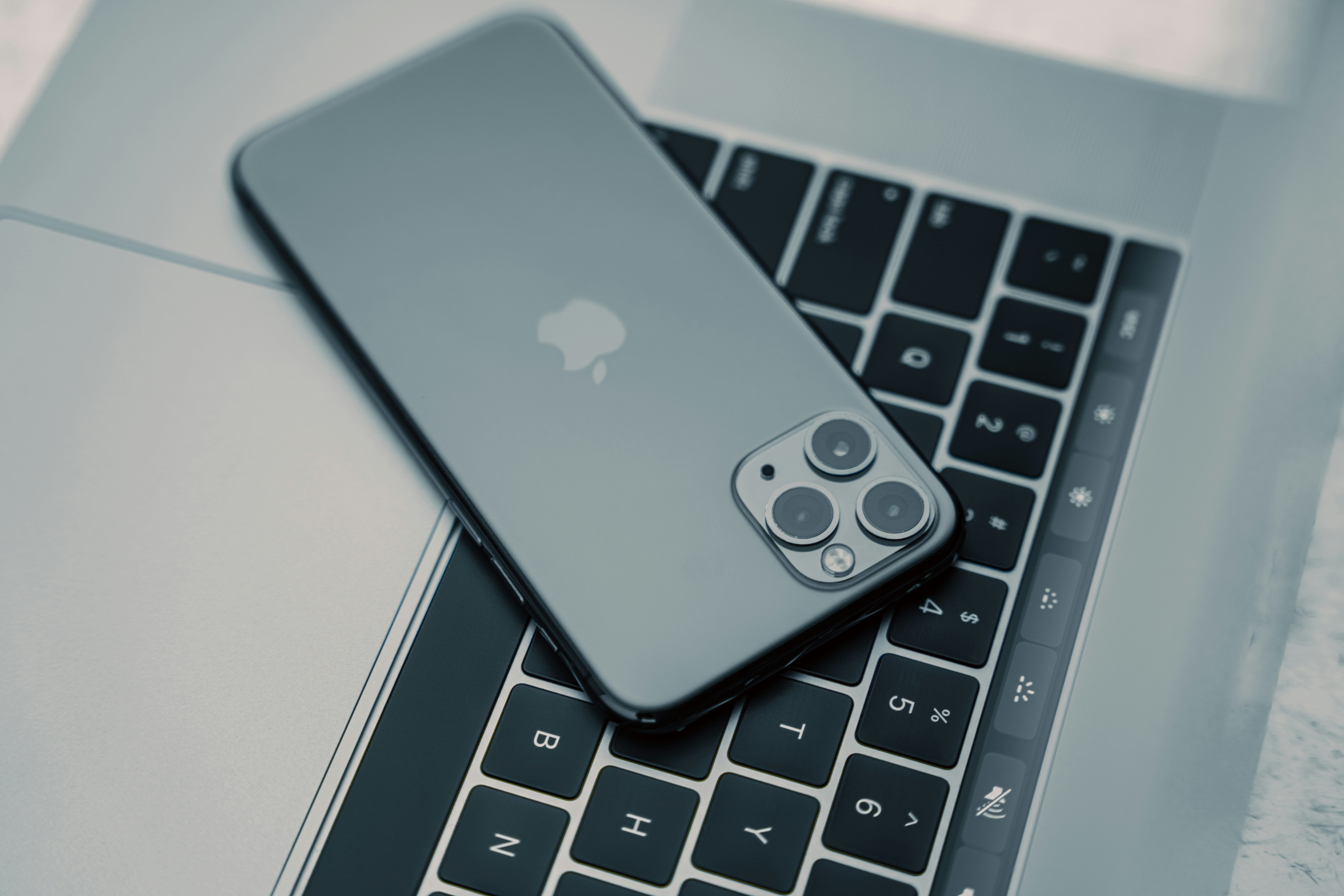 Photo by photographer_esmihel