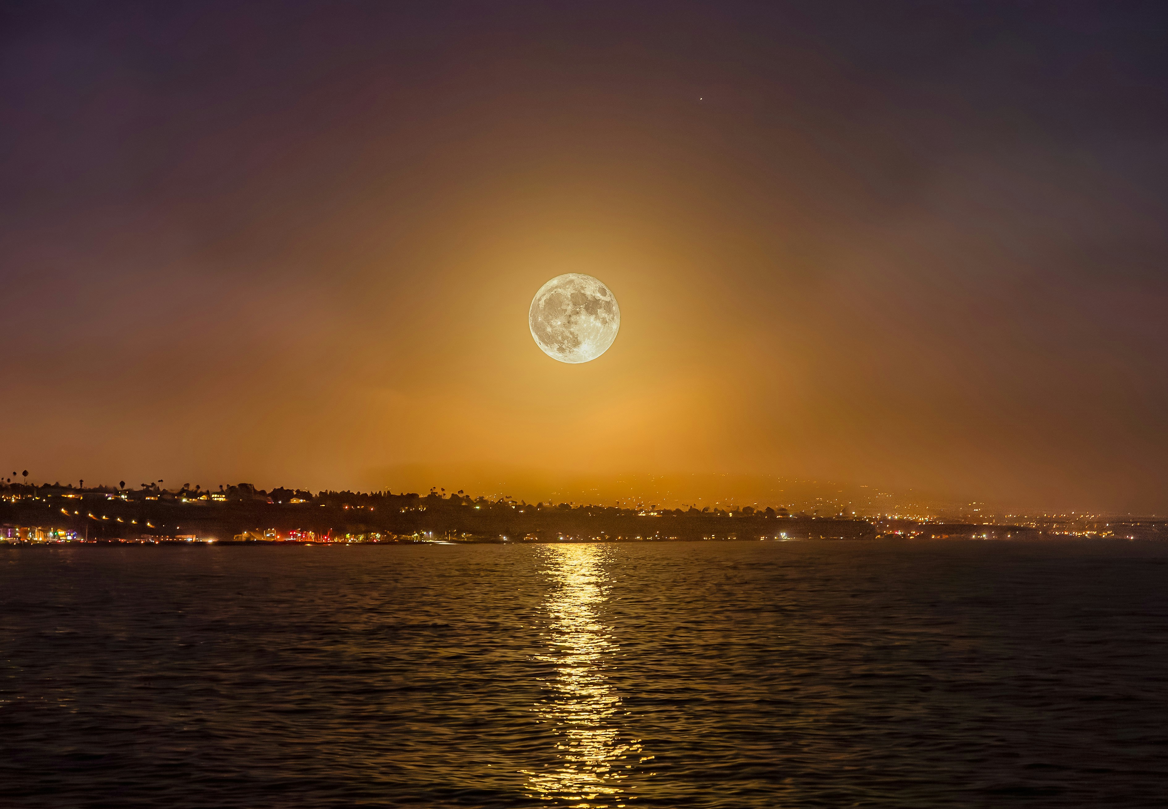 Happy user sharing enhanced night photo on social media