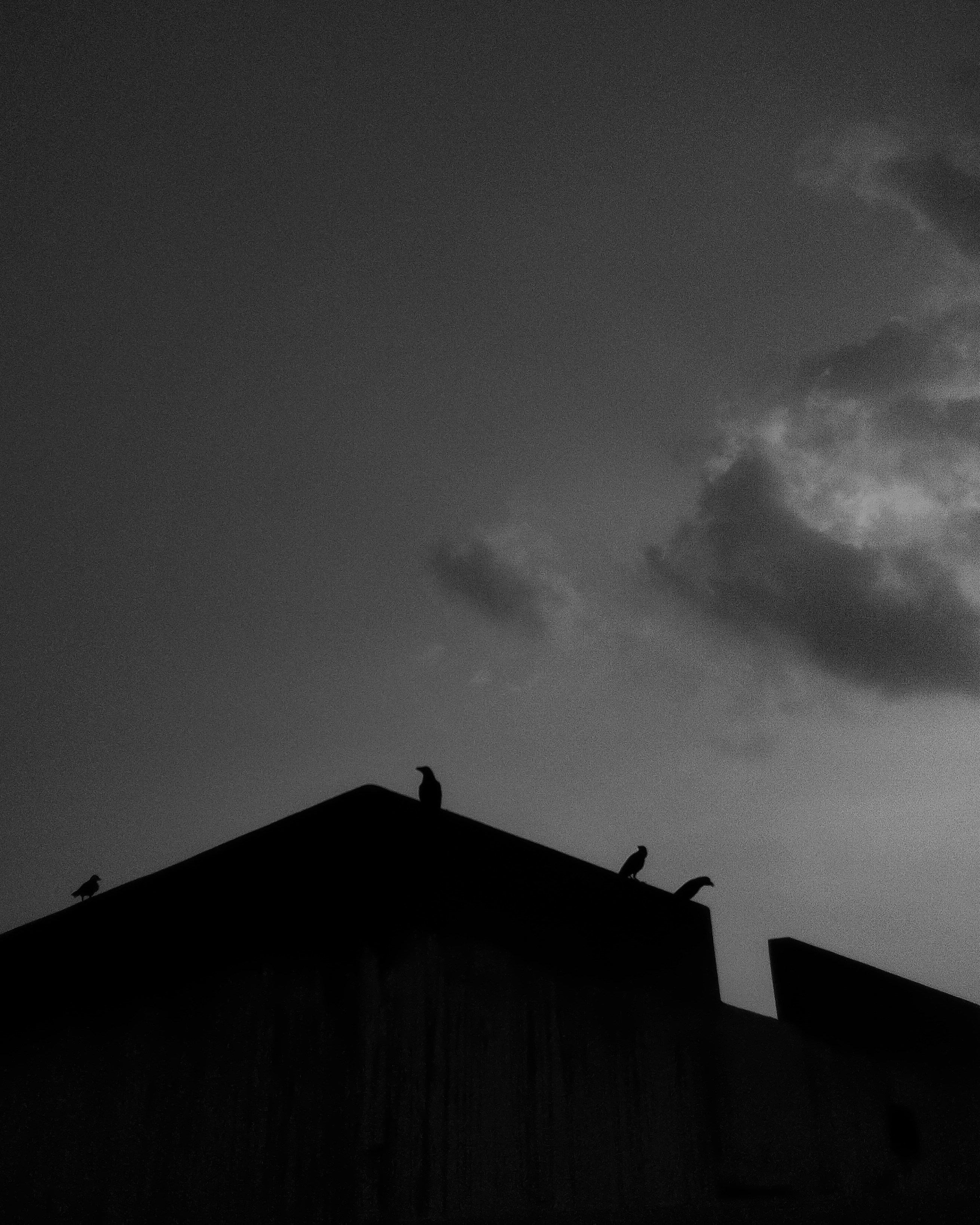 Photo by arif_zack_photography