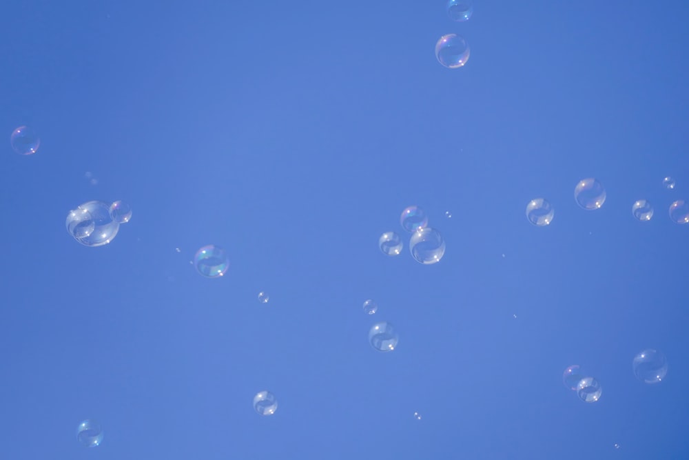 a group of bubbles floating in the air