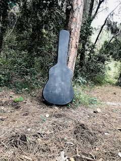 A hard case being used in an outdoor setting, surrounded by nature.
