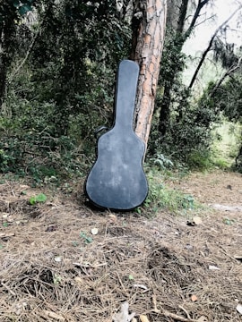 A rustic campfire scene with a guitar resting against a log surrounded by dense forest shadows.