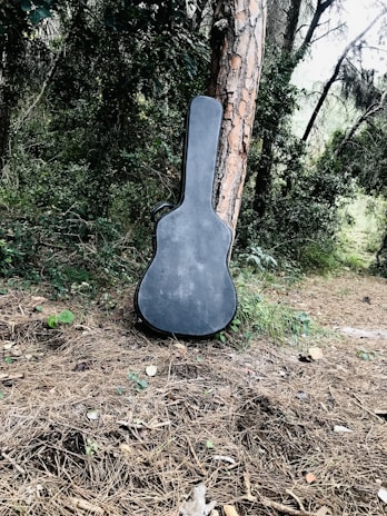 A hard case being used in an outdoor setting, surrounded by nature.