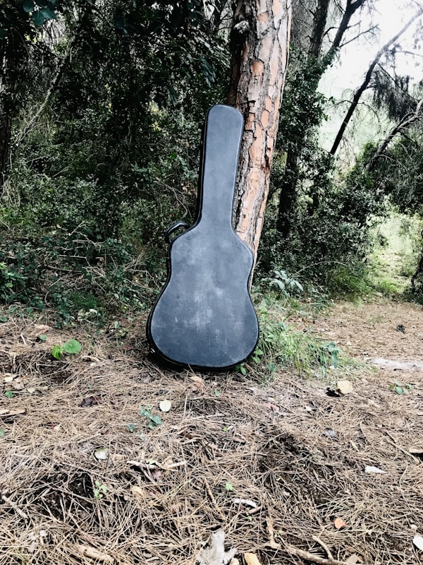 Premium Guitar Bag