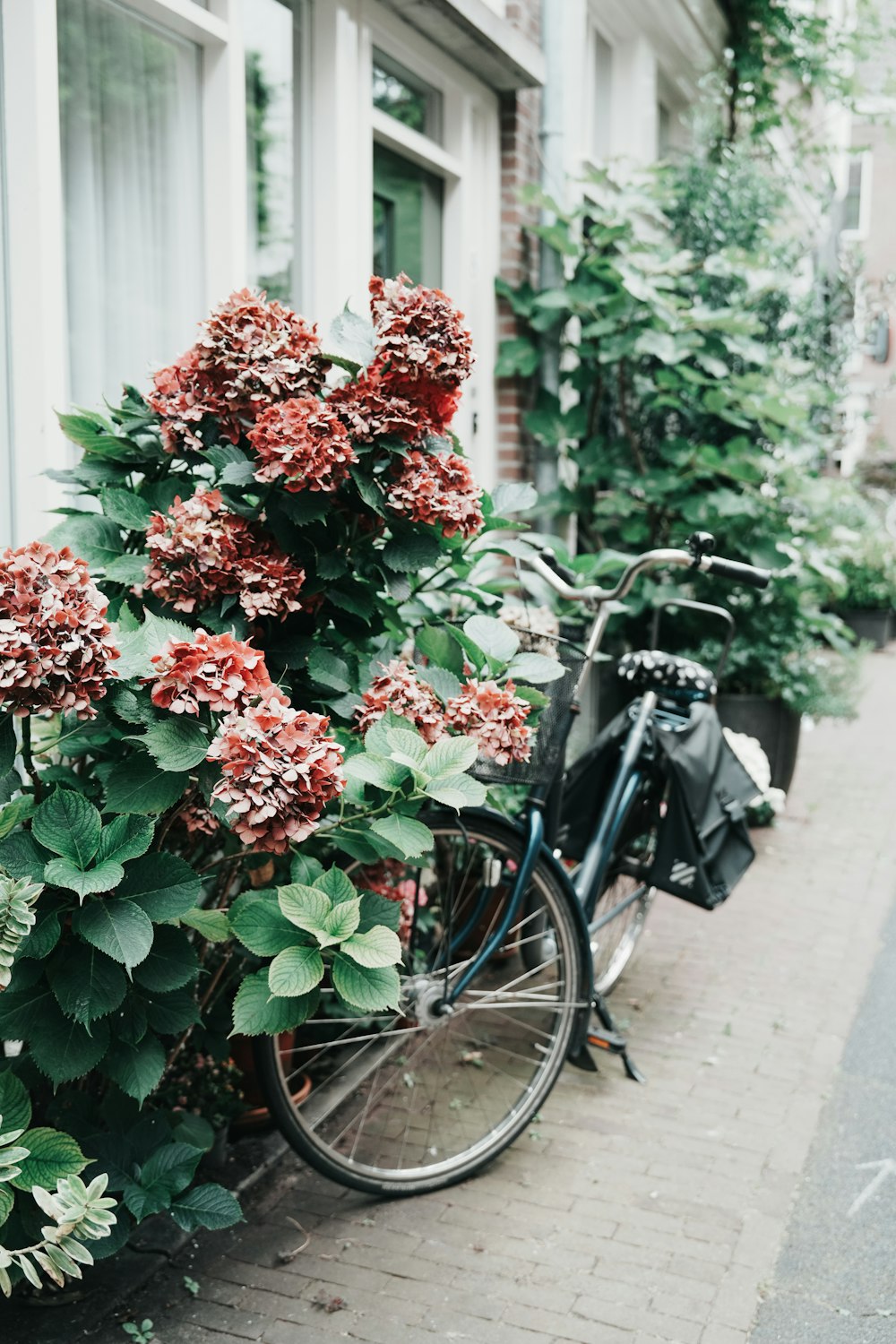 a bicycle is parked next to a bush of flowers