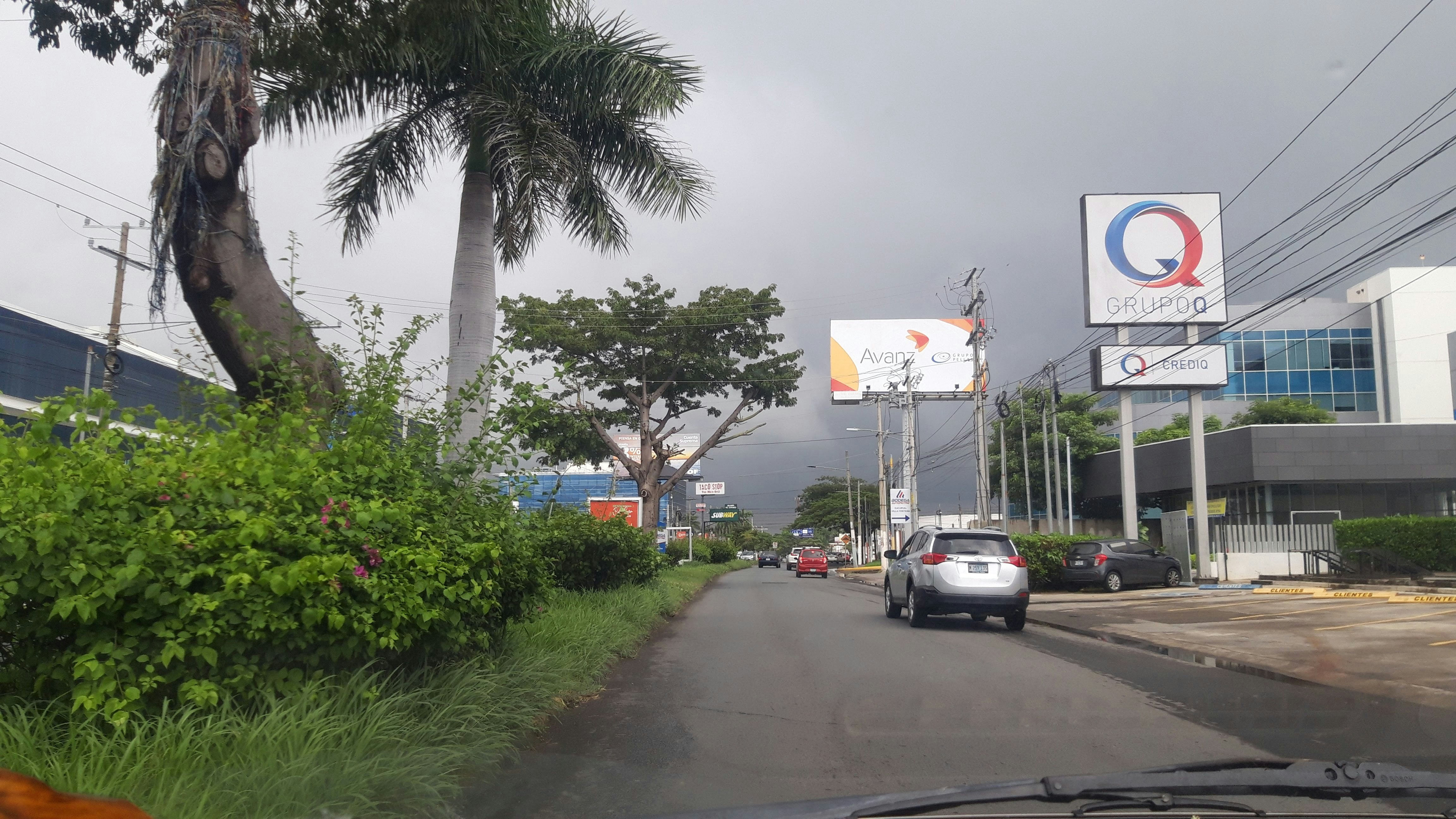 10 Essential Digital Marketing Tips for Subtropical Entrepreneurs