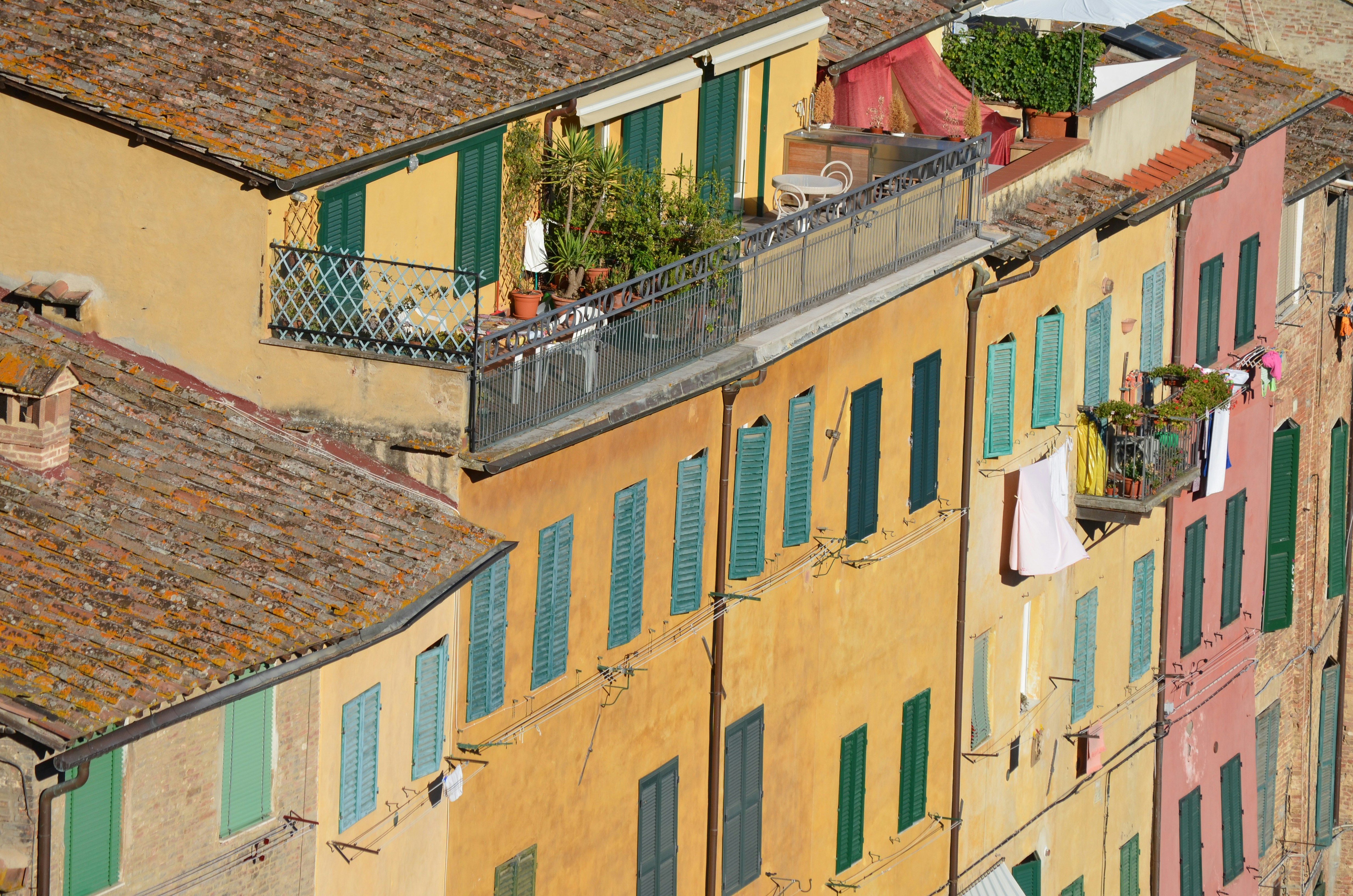 Photo by alexandra_giocondo