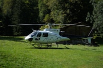 A white helicopter is parked on a grassy field with dense green trees and a wooden cabin in the background. The rotor blades are stationary, and the helicopter bears a logo and registration markings on the side.