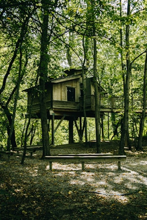 A rustic wooden treehouse nestled among lush green trees. The structure is elevated on sturdy beams and surrounded by dense foliage, creating a serene and secluded atmosphere. Sunlight filters through the leaves, casting dappled shadows on the forest floor, which is covered with leaves and gravel. Wooden benches are positioned around the base of the treehouse.